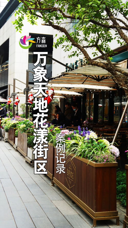 深圳南山萬象天地花漾街區(qū) 園林綠化與花境設(shè)計(jì)的典范