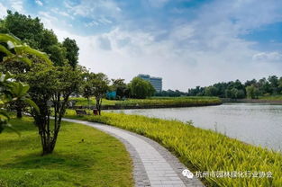 匠心筑景，綠韻迎賓——記2016年度杭州市優(yōu)秀園林綠化工程道路組金獎項目 杭州蕭山國際機場迎賓專用道路及環(huán)境提升工程景觀綠化與養(yǎng)護